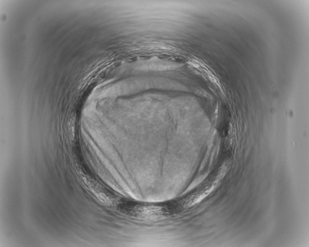 X0000087010501200705141835