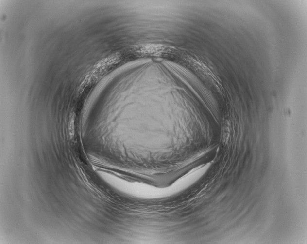 X0000087010504200705141835