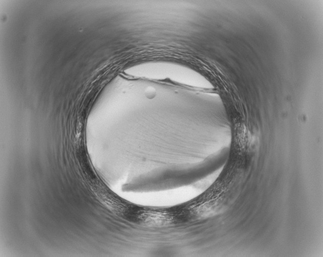 X0000087010507200705141835