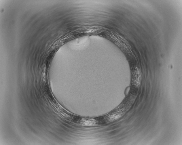 X0000087010510200705141835