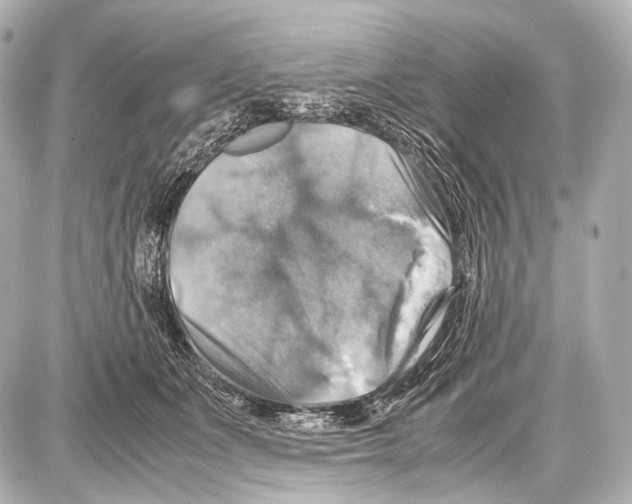 X0000087010511200705141835