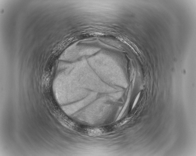 X0000087010513200705141835