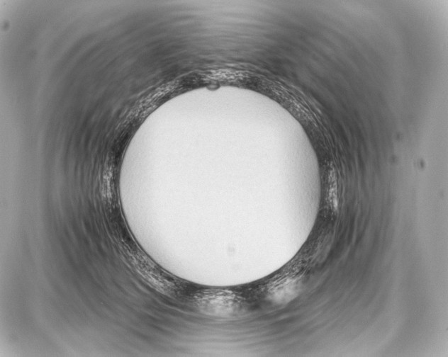 X0000087010514200705141834