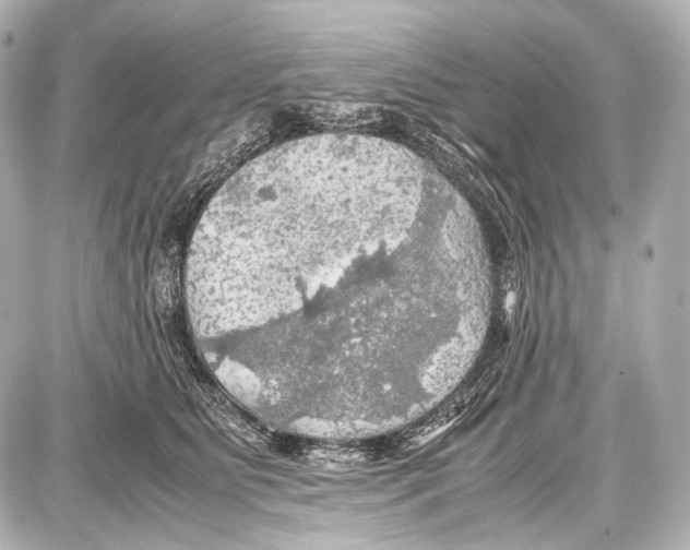 X0000087010515200705141834