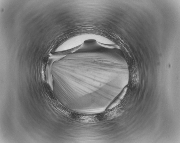 X0000087010516200705141834