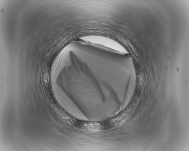 X0000087010517200705141834