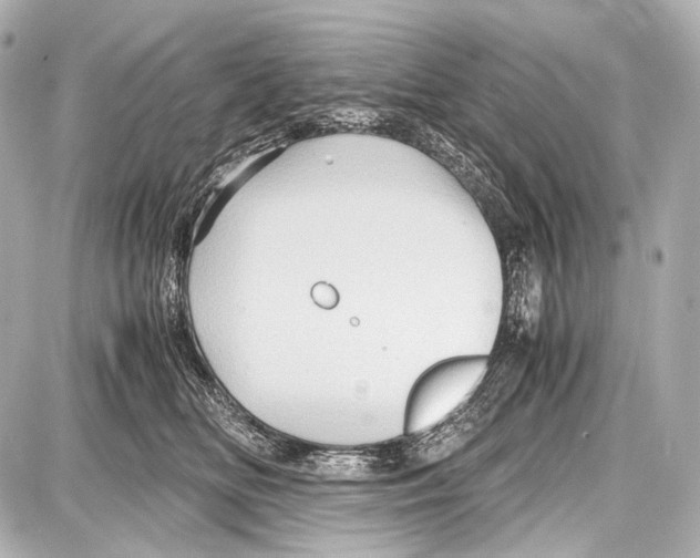 X0000087010518200705141834