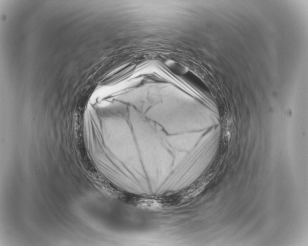 X0000087010519200705141834