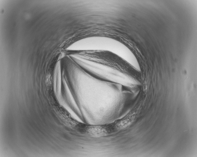 X0000087010521200705141834