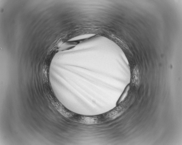 X0000087010522200705141834