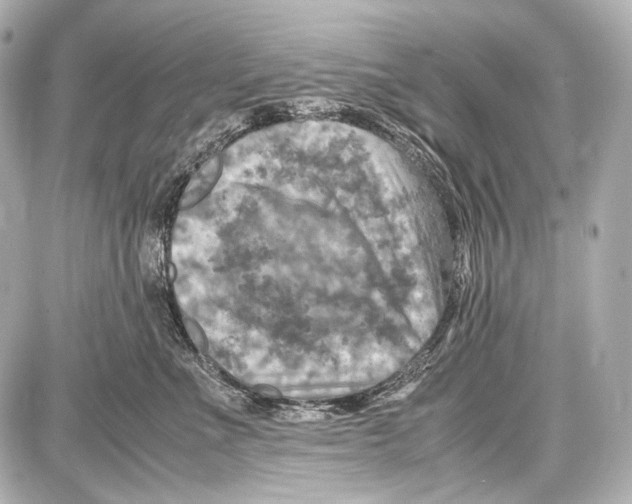 X0000087010523200705141834