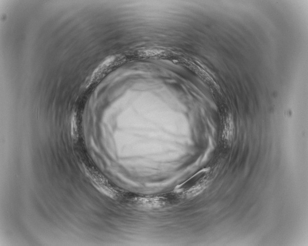 X0000087010524200705141834