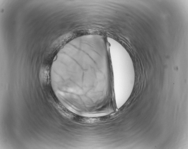 X0000087010527200705141834