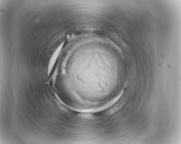 X0000087010528200705141834