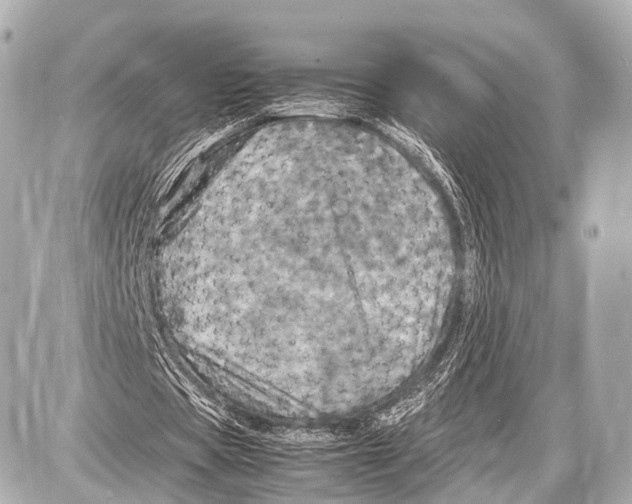 X0000087010529200705141833