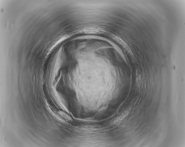 X0000087010530200705141833