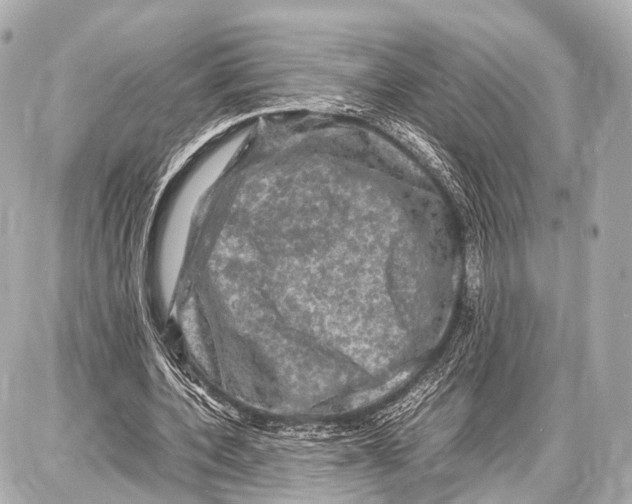 X0000087010532200705141834