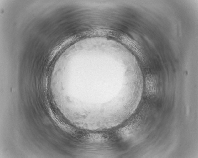 X0000087010534200705141834