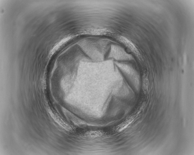 X0000087010536200705141834