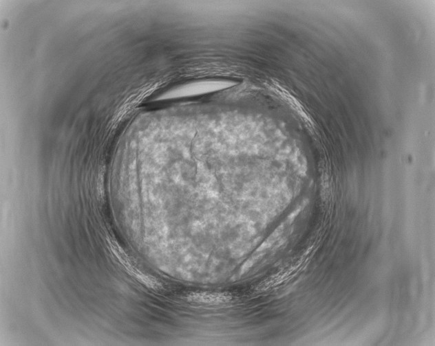 X0000087010537200705141834