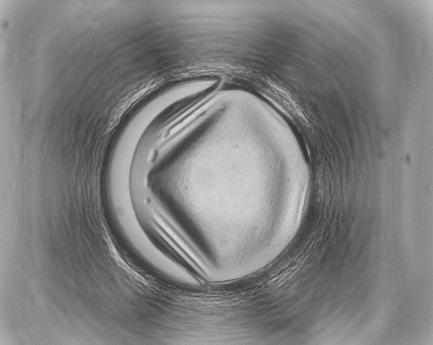 X0000087010538200705141834