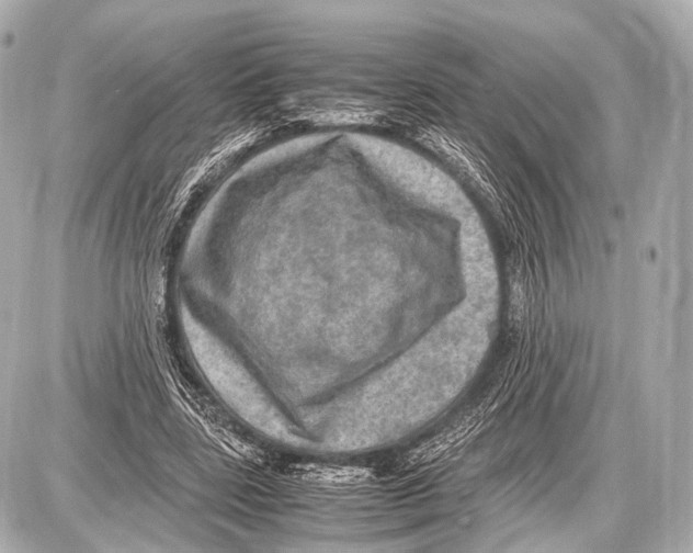 X0000087010539200705141834