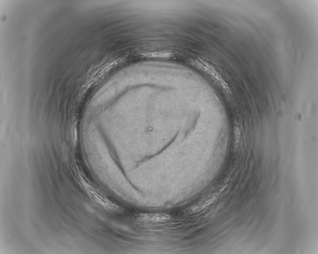 X0000087010541200705141834