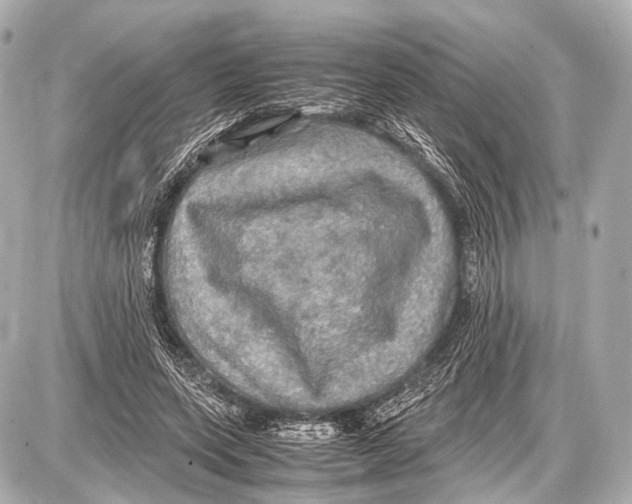 X0000087010543200705141834