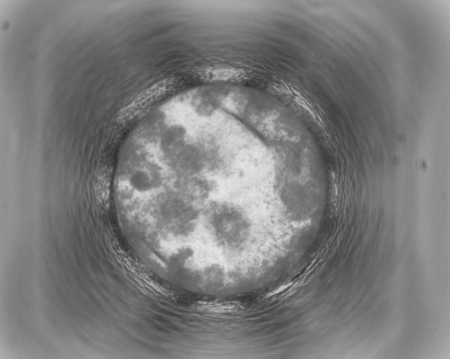 X0000087010545200705141834