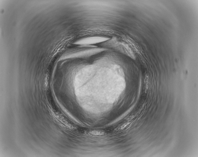 X0000087010546200705141834