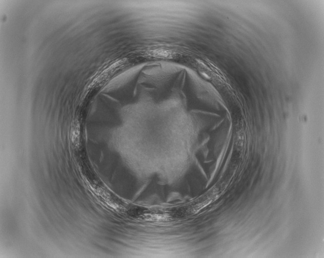 X0000087010552200705141834