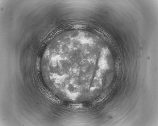 X0000087010554200705141834