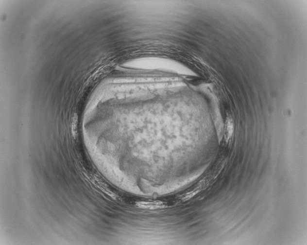 X0000087010556200705141834