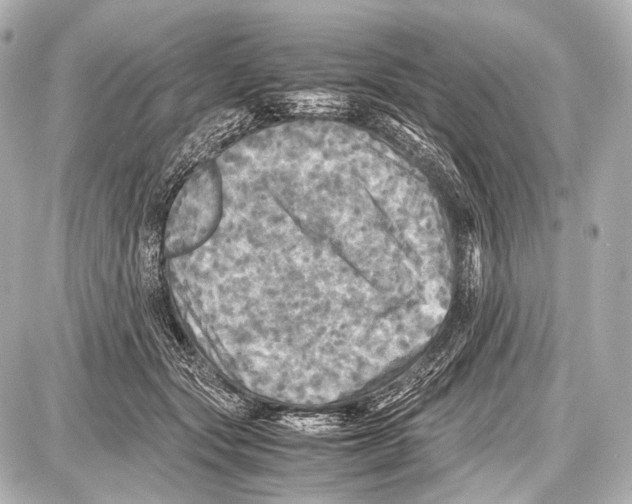 X0000087010557200705141834