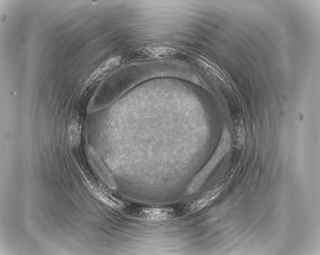 X0000087010558200705141834