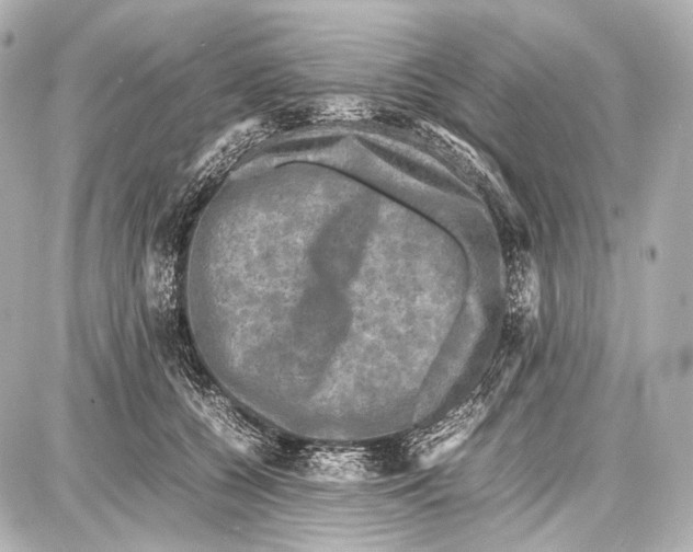 X0000087010560200705141834