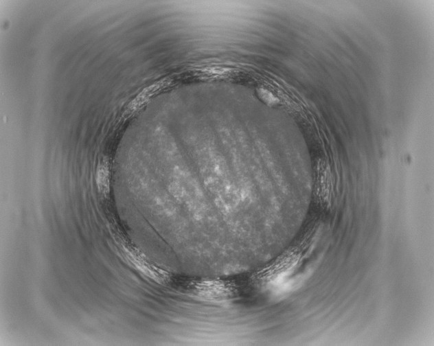 X0000087010562200705141834