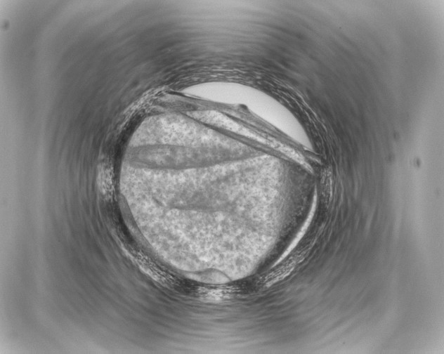 X0000087010564200705141834