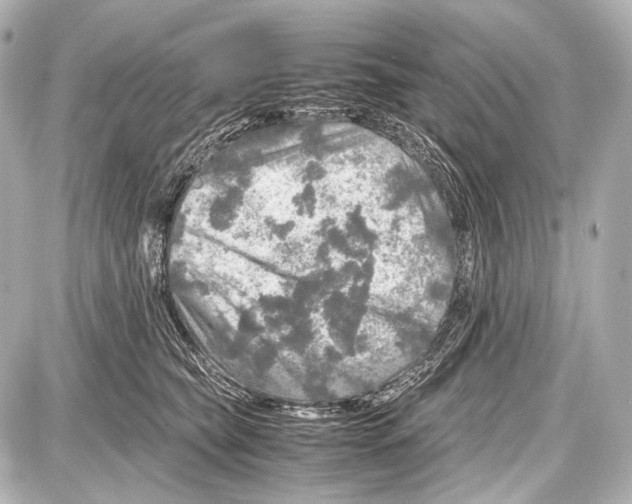 X0000087010565200705141834