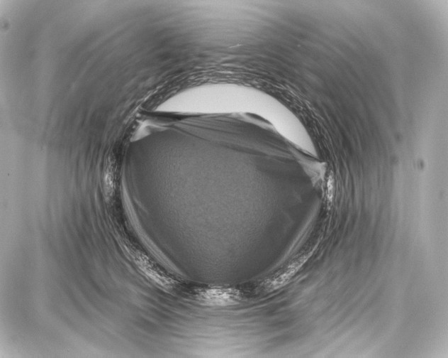 X0000087010566200705141834