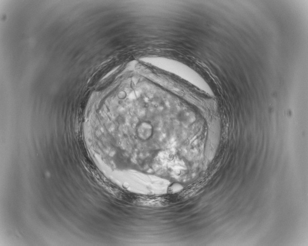 X0000087010569200705141834