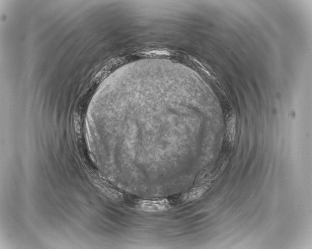 X0000087010571200705141834