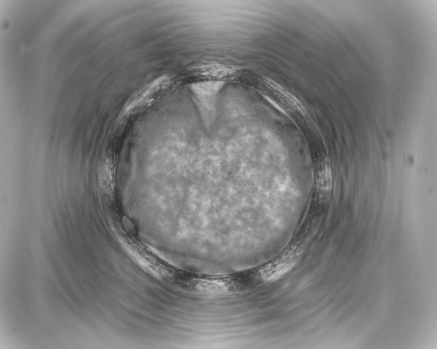 X0000087010572200705141834