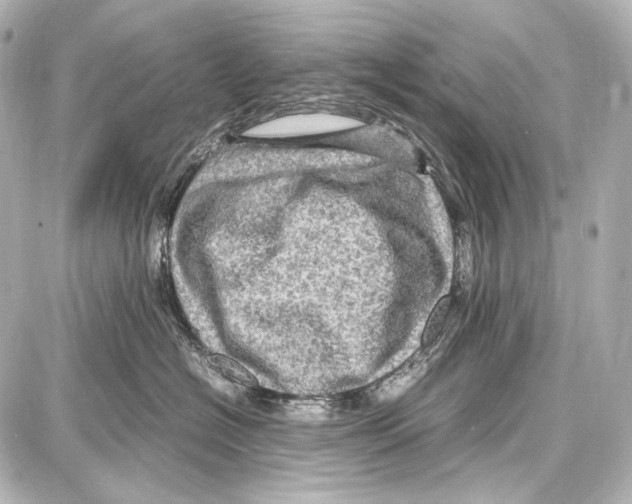 X0000087010574200705141834