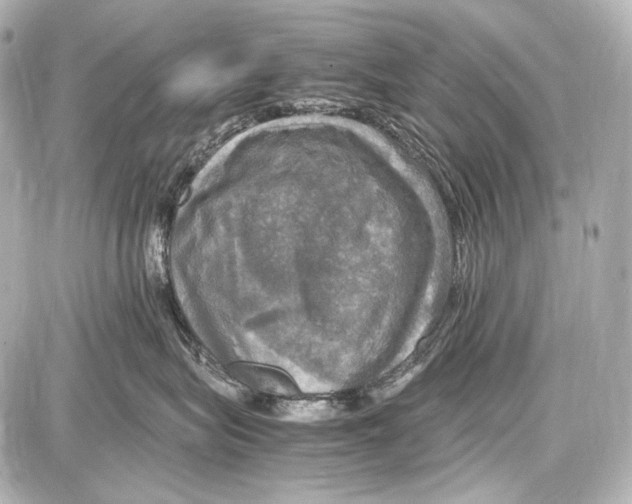 X0000087010575200705141834