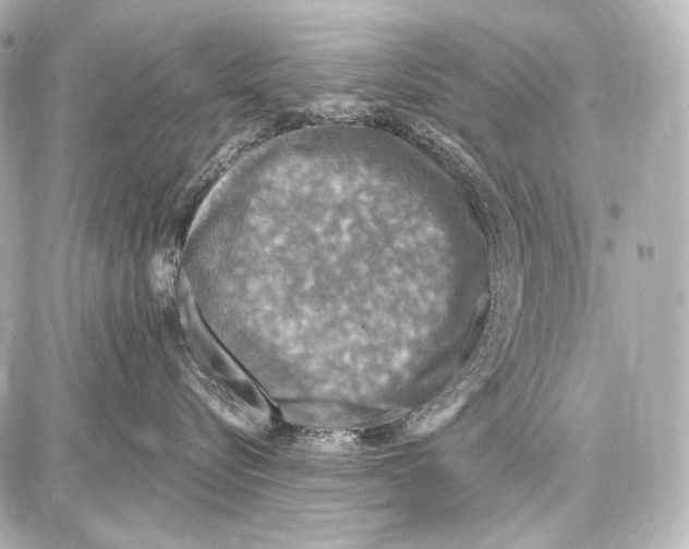 X0000087010576200705141834