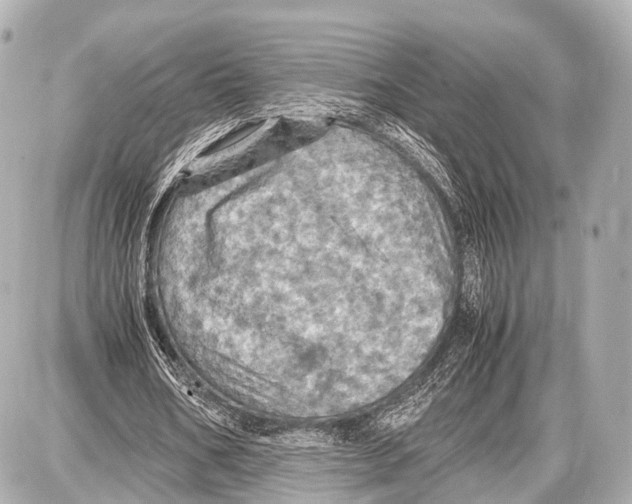 X0000087010578200705141833