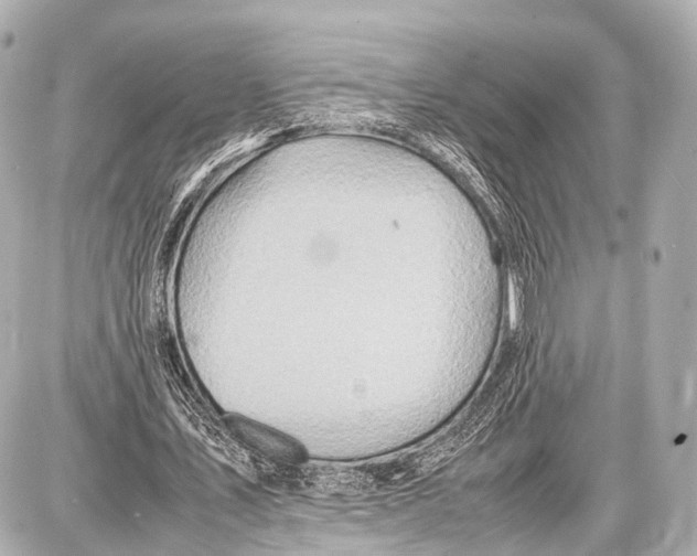 X0000087010579200705141833