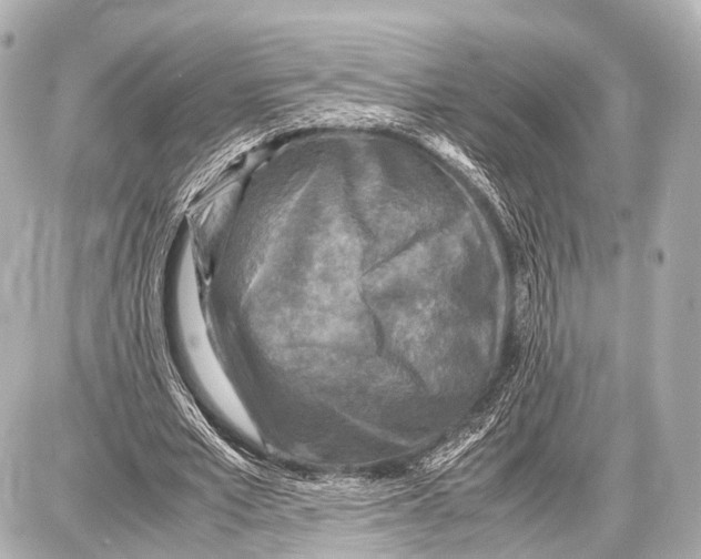 X0000087010581200705141833