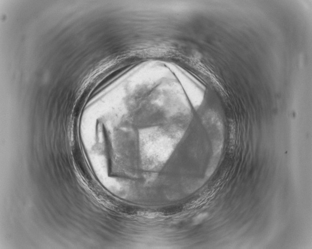 X0000087010582200705141833